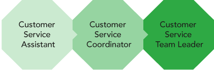 Career path - Customer service