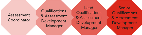 Career path - City & Guilds Qualifications and Assessment Development